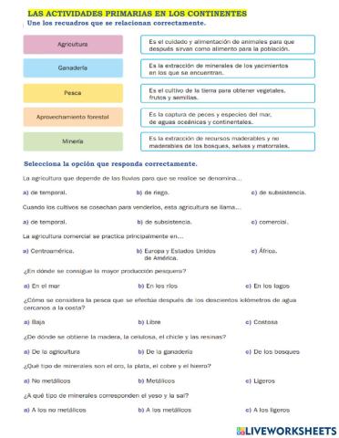 Actividades primarias