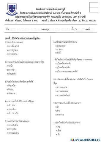 การงานอาชีพ 1