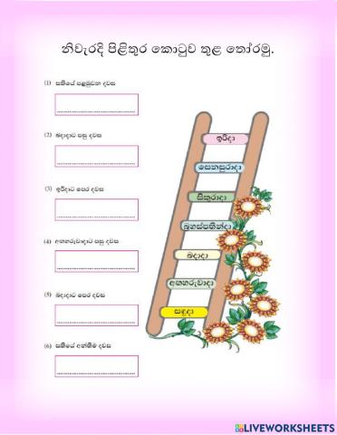 සතියේ දින