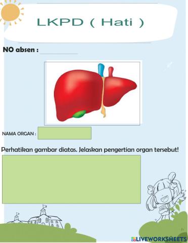 LKPD sistem ekskresi (hati 1)