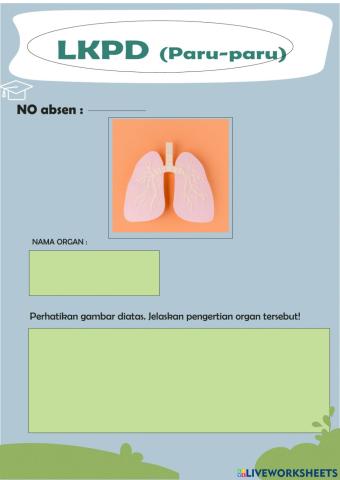 LKPD sistem ekskresi (paru 1&2)