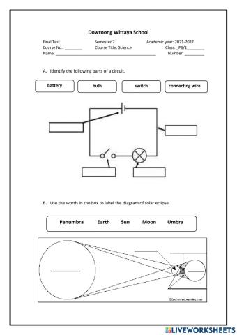 P6 science exam