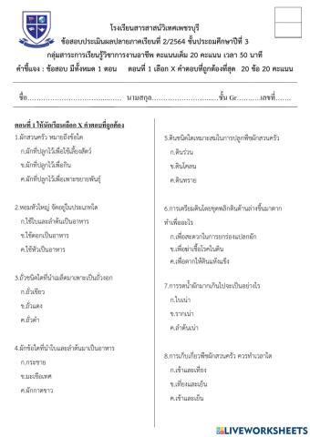 การงานอาชีพ3