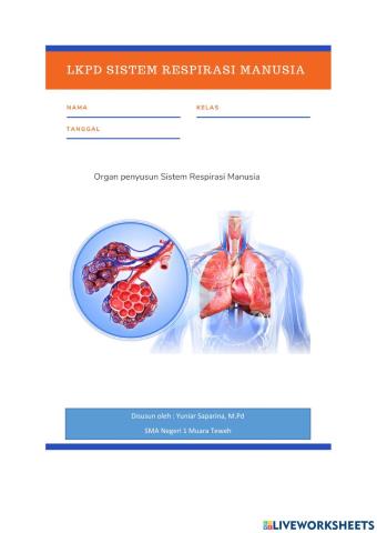 Sistem Respirasi manusia