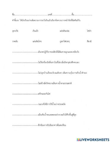 ใบงานภัยพิบัติ