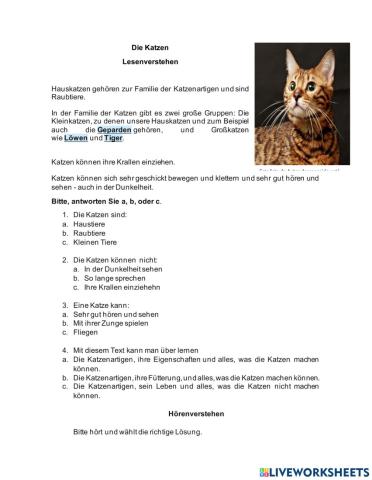 Die Katze