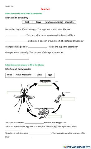 Science WT 2