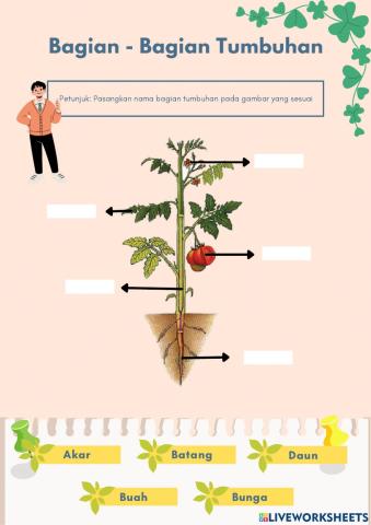 Lembar kerja bagian bagian tumbuhan