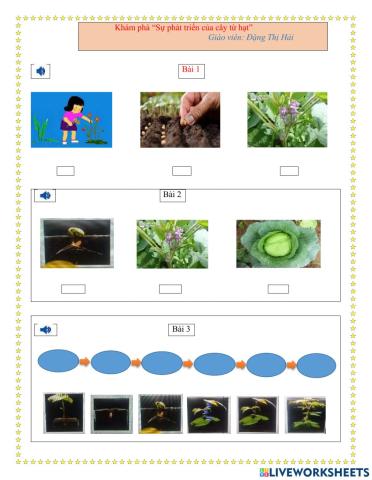 Khám phá sự phát triển của cây từ hạt