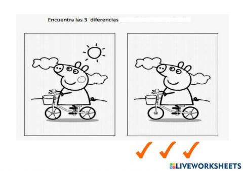 Diferencias pepa bici