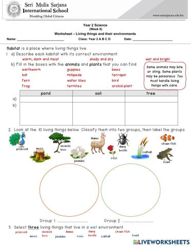 Unit 5: Living things and their environments