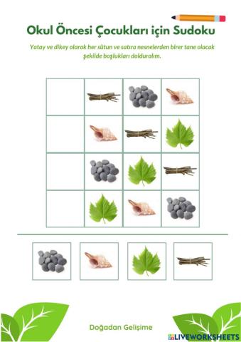 Okul Öncesi Sudoku Çalışması