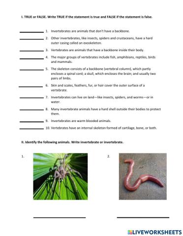 Vertebrates and invertebrates