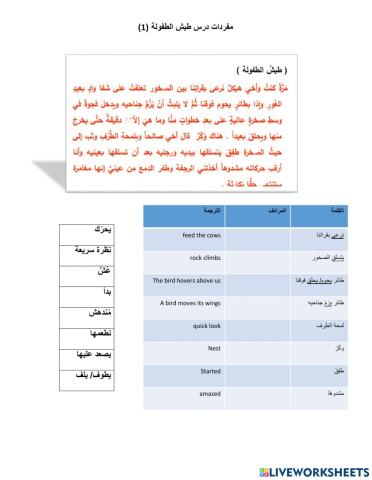 مفردات درس طيش الطفولة