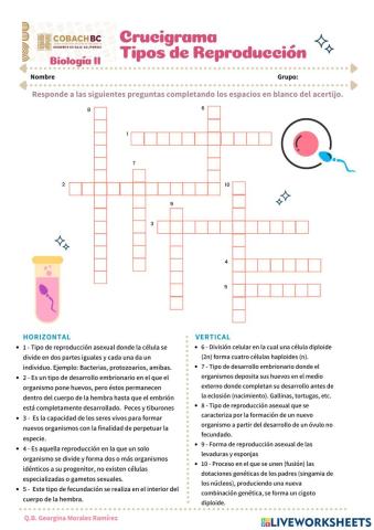 Tipos de reprocuccion