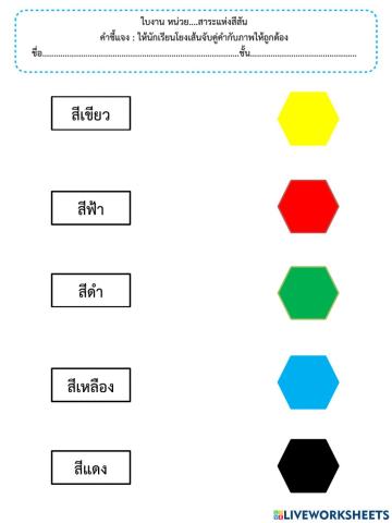 สาระแห่งสีสัน