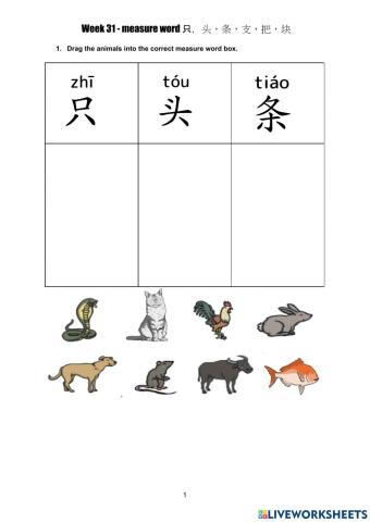 Week 31 - measure word for animals