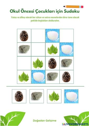 Okul Öncesi Sudoku Çalışması