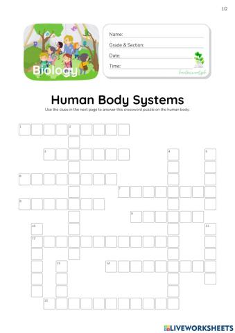 Human Body Systems - HuntersWoodsPH.com Worksheet