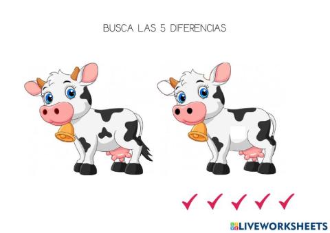 Diferencias vaca