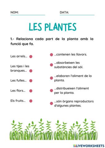 Les plantes