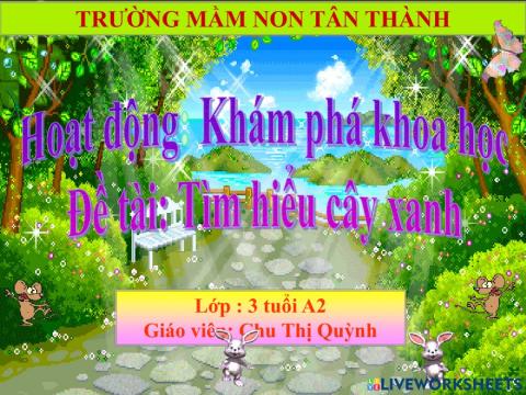 Trò chơi: tìm hiểu cây xanh