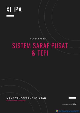 Sistem saraf tepi dan saraf pusat