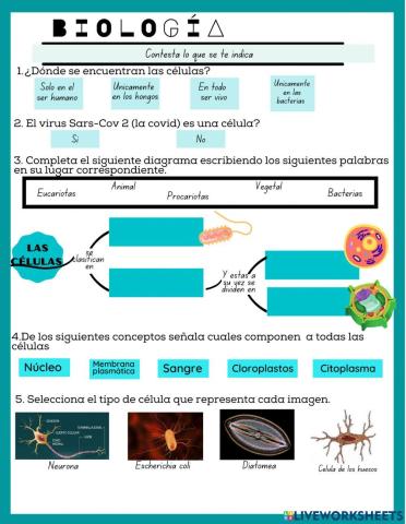 Hablemos sobre las células 