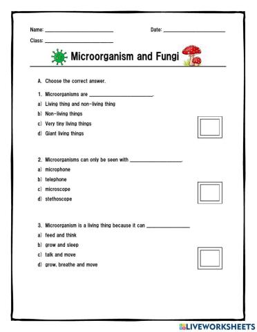 Microorganism and Fungi