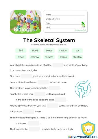 Skeletal System - HunterWoodsPH.com Worksheet