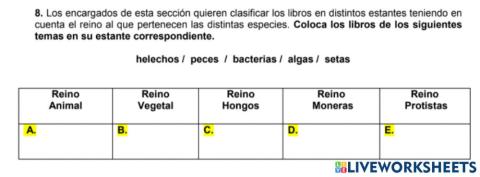 Prueba CAM 6º: Competencias básicas ciencias y tecnología 8