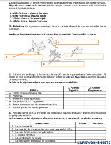 Prueba CAM 6º: Competencias básicas ciencias y tecnología 9-12