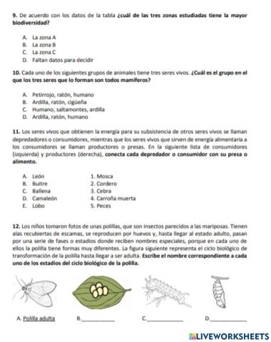 Prueba CAM 6º 2: Competencias básicas ciencias y tecnología 9-12