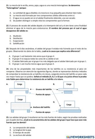 Prueba CAM 6º 2: Competencias básicas ciencias y tecnología 21-25