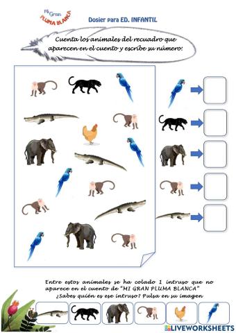 Numeración Infantil Pluma Blanca