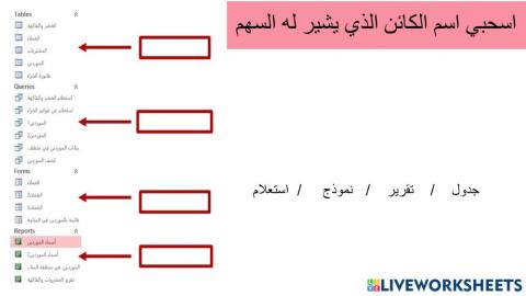 واجهة قواعد البيانات