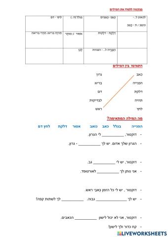 שיחת טלפון - בריאות 24