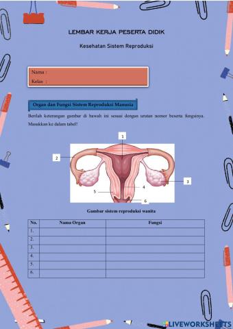 Kesehatan Sistem Reproduksi