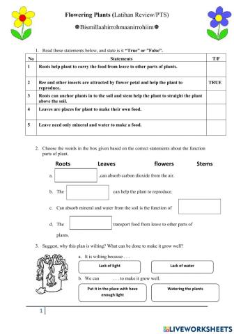 Flowering Plants Exercise Review