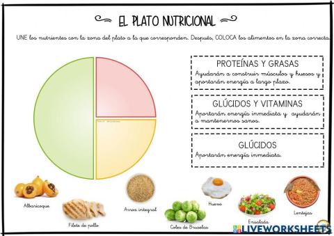 Plato Nutricional