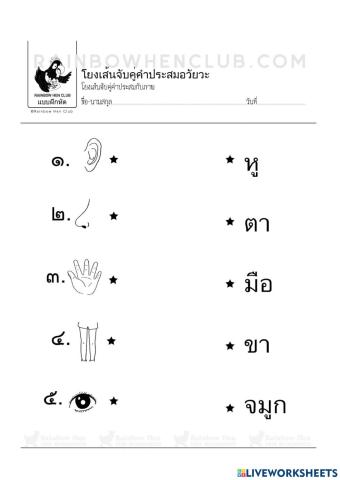 จับคู่โยงเส้น