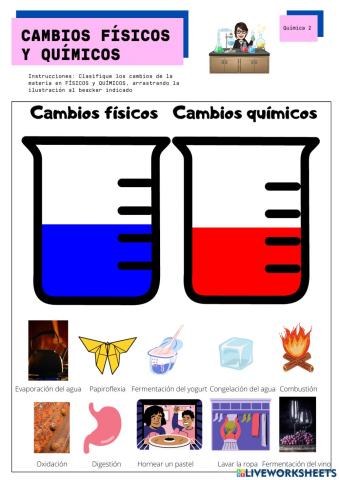 Cambios Físicos y Químicos