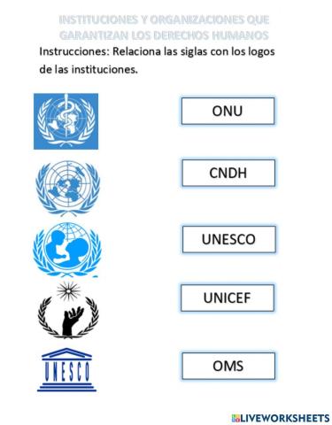 Organizaciones Derechos Humanos