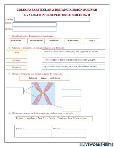 Evaluacion supletorio biologia ii