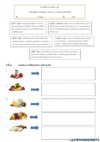 ใบงานอาหารหลัก 5 หมู่