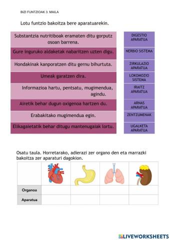 Bizi funtzioak 3. maila