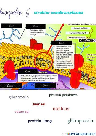 Group 6 - biologi