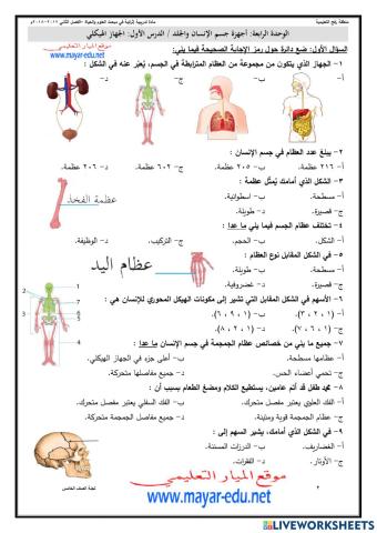 الجهاز الهيكلي