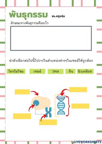 ลักษณะทางพันธุกรรม