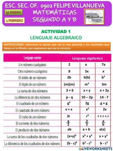 Lenguaje algebraico